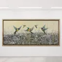 Sinfonía de Colibríes